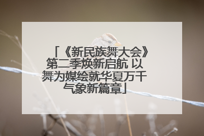 《新民族舞大会》第二季焕新启航 以舞为媒绘就华夏万千气象新篇章