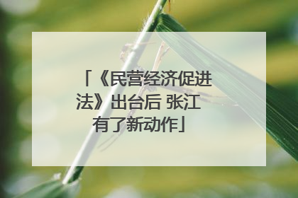 《民营经济促进法》出台后 张江有了新动作