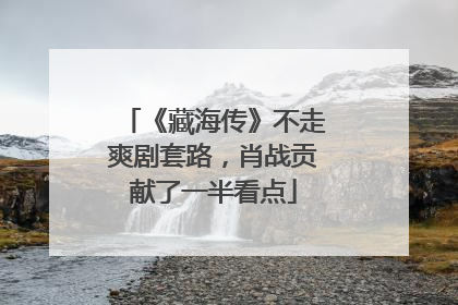 《藏海传》不走爽剧套路，肖战贡献了一半看点