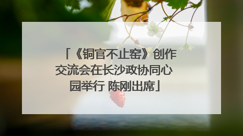 《铜官不止窑》创作交流会在长沙政协同心园举行 陈刚出席