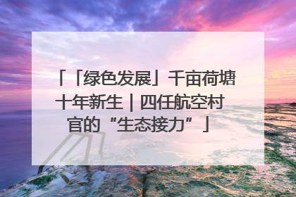 「绿色发展」千亩荷塘 十年新生｜四任航空村官的“生态接力”
