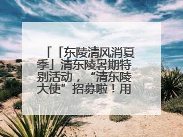 「东陵清风消夏季」清东陵暑期特别活动，“清东陵大使”招募啦！用你的热爱守护世界遗产！