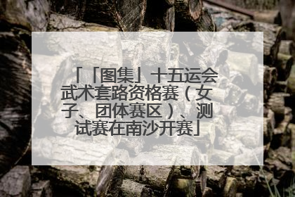「图集」十五运会武术套路资格赛（女子、团体赛区）、测试赛在南沙开赛