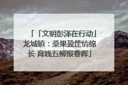 「文明彭泽在行动」龙城镇：桑果盈筐情绵长 育践五柳报春晖