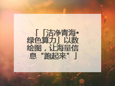 「洁净青海•绿色算力」以数绘图，让海量信息“跑起来”