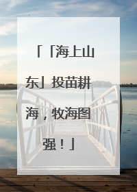 「海上山东」投苗耕海，牧海图强！
