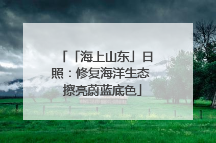 「海上山东」日照：修复海洋生态 擦亮蔚蓝底色