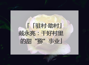 「驻村·助村」戴永亮：干好村里的甜“猕”事业