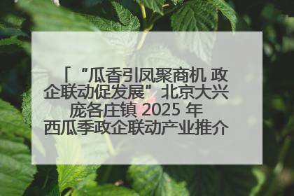 “瓜香引凤聚商机 政企联动促发展”北京大兴庞各庄镇 2025 年西瓜季政企联动产业推介活动圆满举行