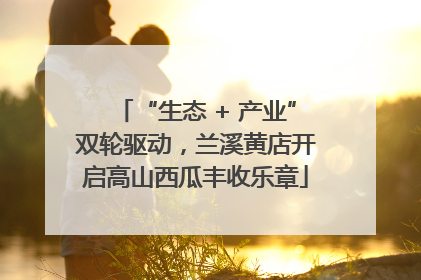 “生态 + 产业”双轮驱动，兰溪黄店开启高山西瓜丰收乐章