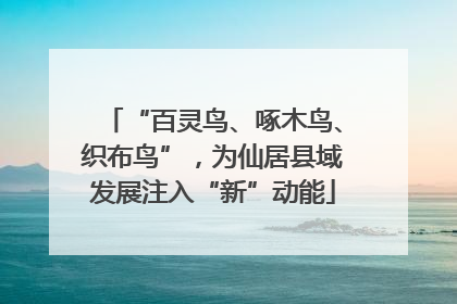 “百灵鸟、啄木鸟、织布鸟”，为仙居县域发展注入“新”动能