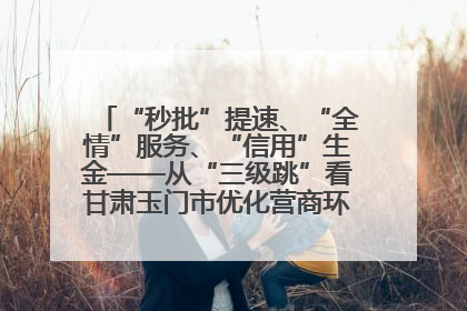 “秒批”提速、“全情”服务、“信用”生金——从“三级跳”看甘肃玉门市优化营商环境的进阶之路