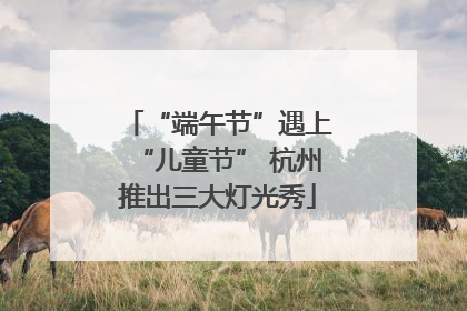 “端午节”遇上“儿童节” 杭州推出三大灯光秀