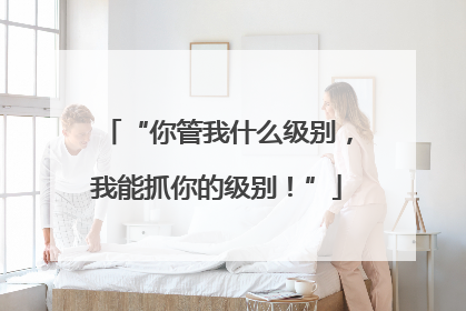 “你管我什么级别，我能抓你的级别！”