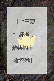 “三夏”赶考：潍柴的丰收答卷