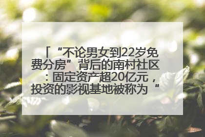 “不论男女到22岁免费分房”背后的南村社区：固定资产超20亿元，投资的影视基地被称为“山村好莱坞”