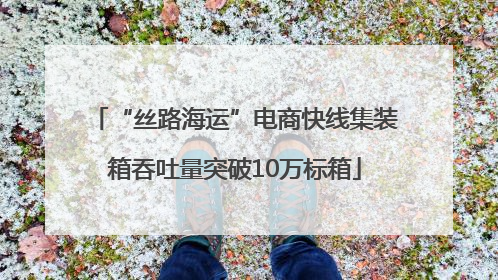 “丝路海运”电商快线集装箱吞吐量突破10万标箱