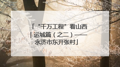 “千万工程”看山西｜运城篇（之二）——永济市东开张村