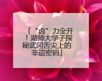 “卤”力全开！湖师大学子探秘武冈舌尖上的非遗密码