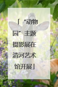 “动物园”主题摄影展在清河艺术馆开展