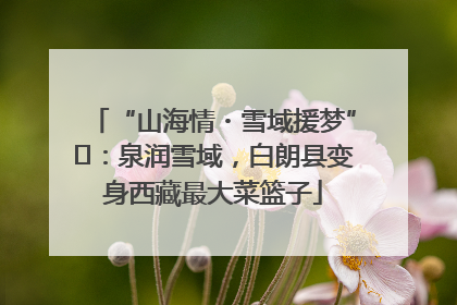 “山海情・雪域援梦”⑪：泉润雪域，白朗县变身西藏最大菜篮子