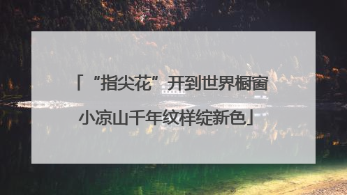 “指尖花”开到世界橱窗 小凉山千年纹样绽新色