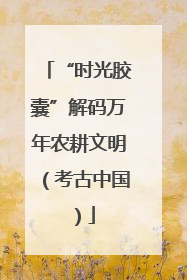 “时光胶囊”解码万年农耕文明（考古中国）