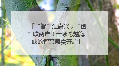 “智”汇嘉兴，“创”联两岸！一场跨越海峡的智慧盛宴开启