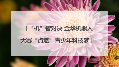 “机”智对决 金华机器人大赛“点燃”青少年科技梦