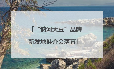 “讷河大豆”品牌新发地推介会落幕