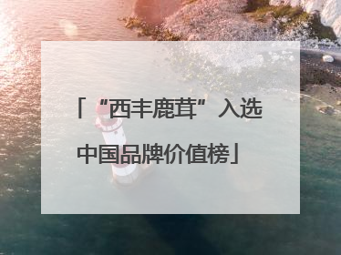 “西丰鹿茸”入选中国品牌价值榜