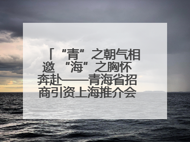 “青”之朝气相邀 “海”之胸怀奔赴——青海省招商引资上海推介会现场见闻