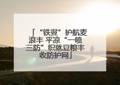 “铁翼”护航麦浪丰 平凉“一喷三防”织就夏粮丰收防护网