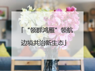 “领群鸿雁”领航边境共治新生态