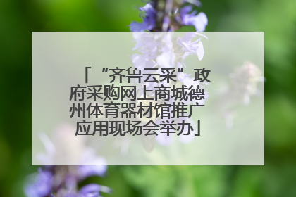 “齐鲁云采”政府采购网上商城德州体育器材馆推广应用现场会举办
