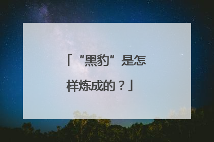 “黑豹”是怎样炼成的？