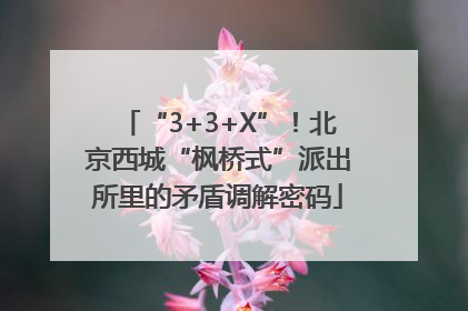 “3+3+X”！北京西城“枫桥式”派出所里的矛盾调解密码
