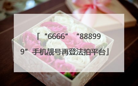 “6666”“888999”手机靓号再登法拍平台