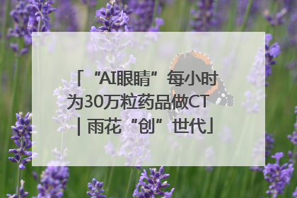 “AI眼睛”每小时为30万粒药品做CT｜雨花“创”世代