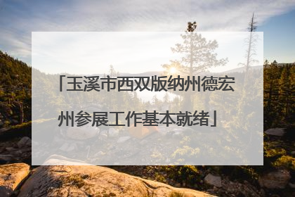 玉溪市西双版纳州德宏州参展工作基本就绪