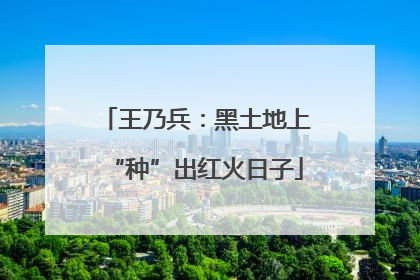 王乃兵：黑土地上“种”出红火日子