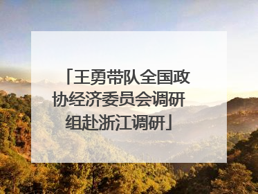 王勇带队全国政协经济委员会调研组赴浙江调研