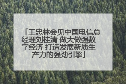 王忠林会见中国电信总经理刘桂清 做大做强数字经济 打造发展新质生产力的强劲引擎