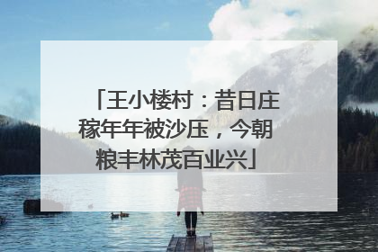 王小楼村：昔日庄稼年年被沙压，今朝粮丰林茂百业兴