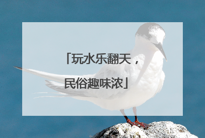 玩水乐翻天，民俗趣味浓
