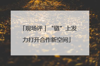 现场评｜“链”上发力打开合作新空间