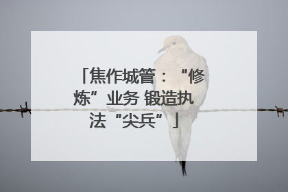 焦作城管：“修炼”业务 锻造执法“尖兵”