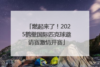 燃起来了！2025鹤壁国际匹克球邀请赛激情开赛