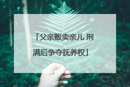 父亲贩卖亲儿 刑满后争夺抚养权