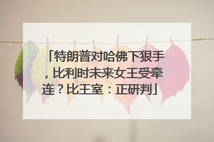 特朗普对哈佛下狠手，比利时未来女王受牵连？比王室：正研判
